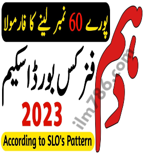 10th Class Physics Pairing Scheme 2024 All Punjab Boards